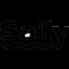 Saily logo