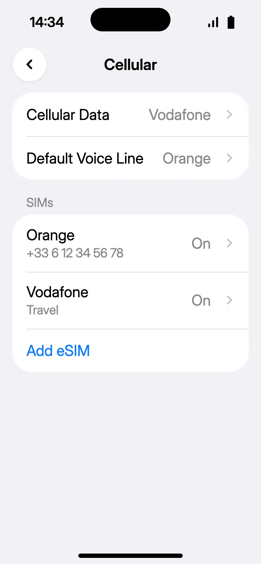 You're set: Cellular Data shows the new eSIM.