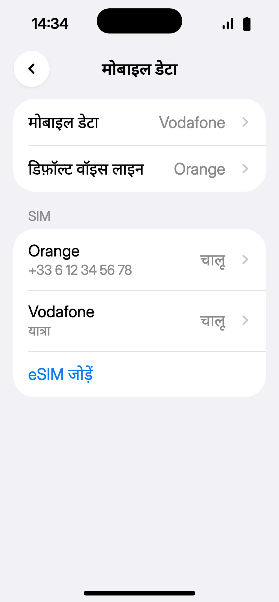 तैयार: मोबाइल डेटा में नया eSIM दिख रहा है।