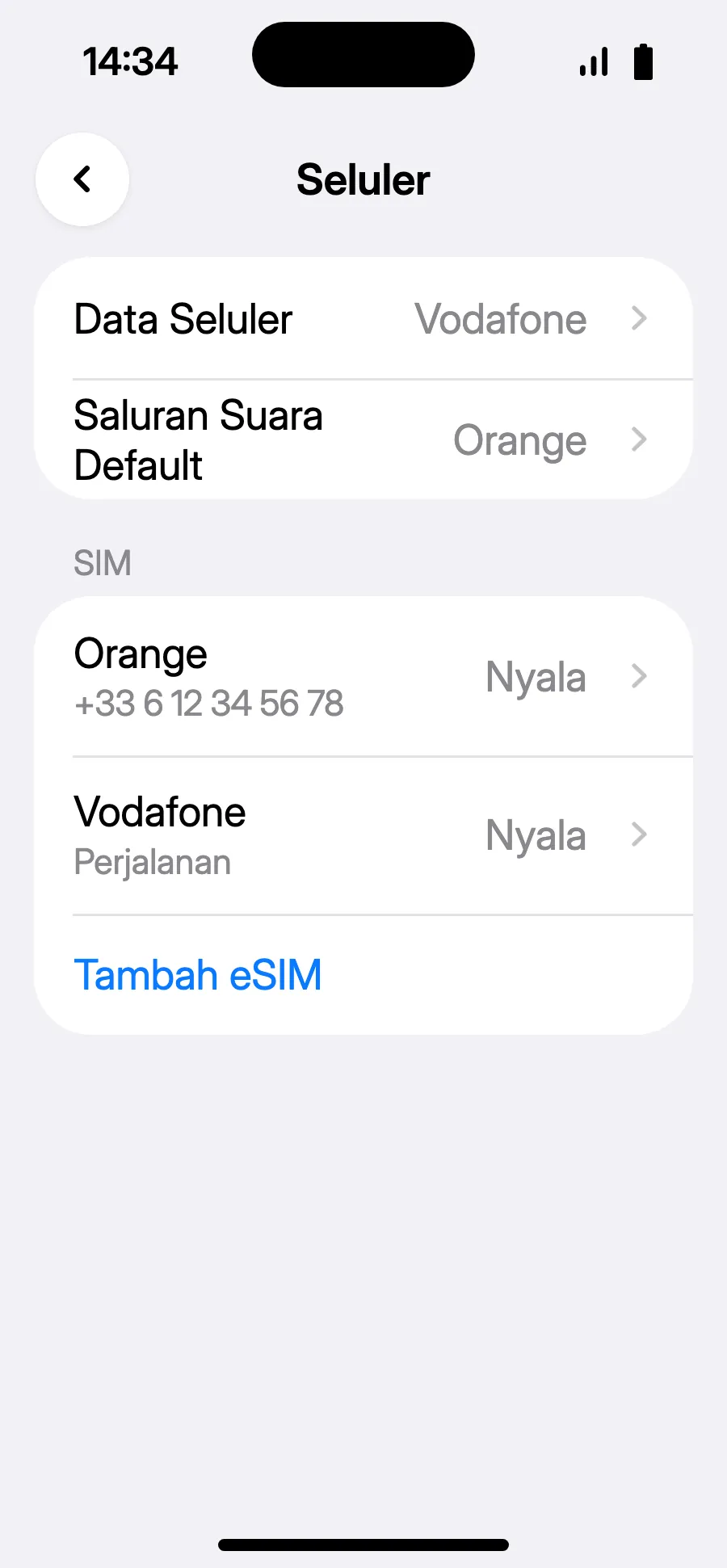 Siap: Data Seluler menampilkan eSIM baru.