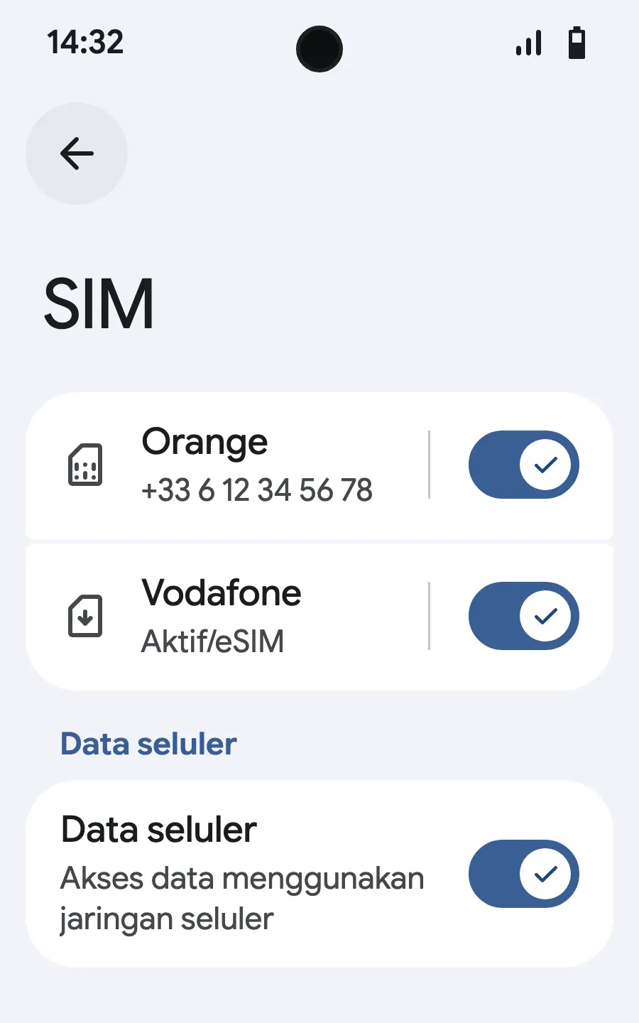 Nyalakan data seluler untuk eSIM baru.